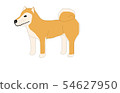 Shiba Inu 54627950