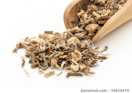 Butchersbroom Root (Naguikada Root): Butcher's broom root Butchersbroom Root (Naguikada Root): Butcher's broom root 54628479