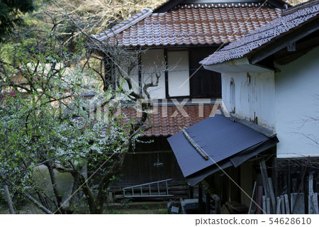 鳥取四季走Itaihara村 54628610