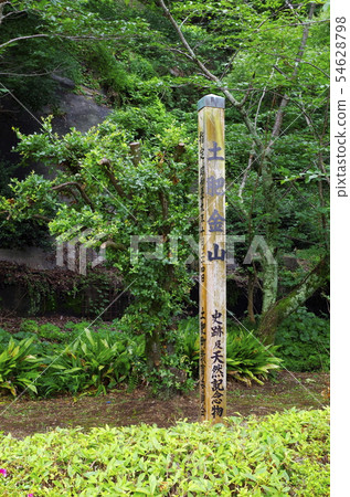 Dohi Kanayama Dohi Kanayama 54628798