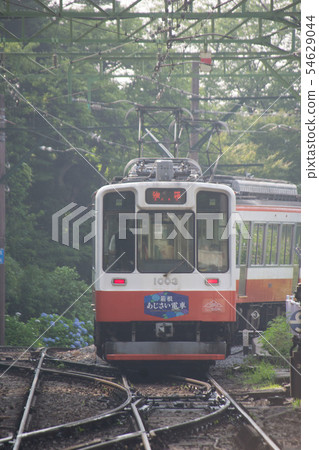 Mountain train 54629044