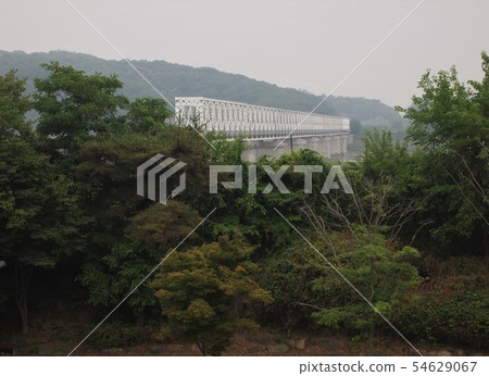 自由之橋 自由之橋 54629067