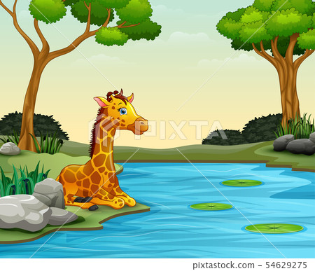 Giraffe cartoon enjoying nature by the river Giraffe cartoon enjoying nature by the river 54629275