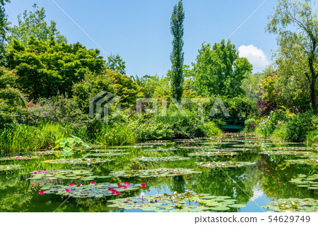 Garden of Monet Kochi 54629749