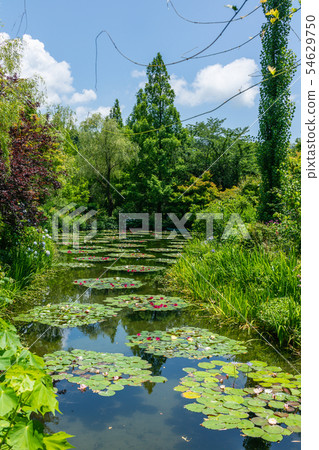 高知莫奈花園 54629750