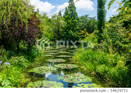 Garden of Monet Kochi 54629751