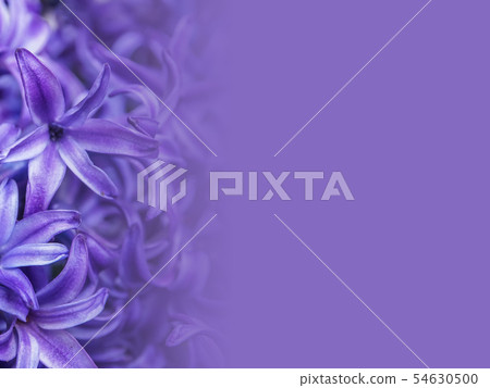 abstract flower background illustration abstract flower background illustration 54630500