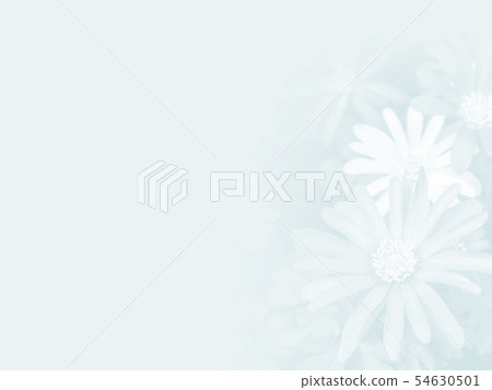 abstract flower background abstract flower background 54630501