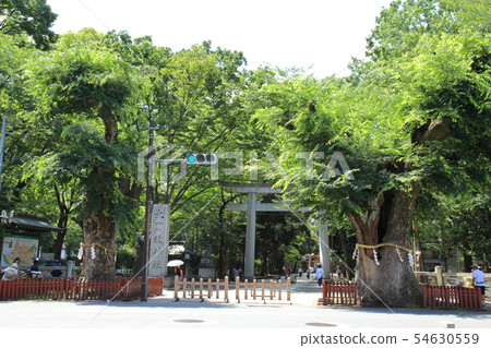 Okunama Shrine Shinkansen Fuchu City Okunama Shrine Shinkansen Fuchu City 54630559