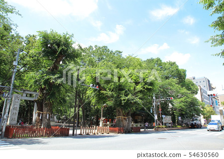 府中市,禦鳥山神社前的十字路口 府中市,禦鳥山神社前的十字路口 54630560