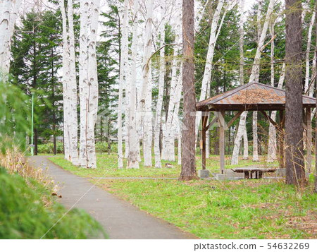 北海道景觀在春天 54632269
