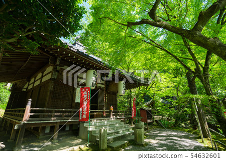 在京都的Imakumano觀音寺的Dai Shido 54632601