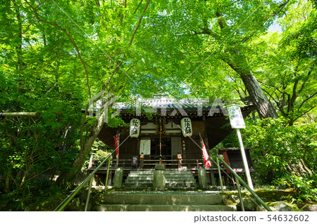 在京都的Imakumano觀音寺的Dai Shido 54632602
