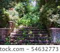 Stairs with nature 54632773