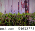 Walls and trees 54632778