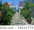 Village road 54632779