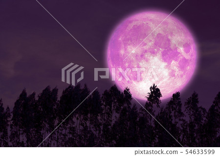 super sturgeon pink moon on red night sky back super sturgeon pink moon on red night sky back 54633599