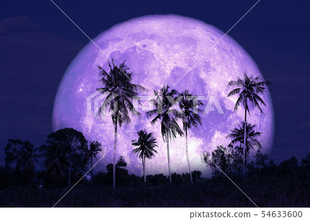 super sturgeon moon on the night sky back 54633600