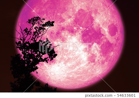 super pink sturgeon moon on red night sky back super pink sturgeon moon on red night sky back 54633601