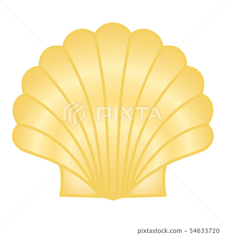 Scallop scall 54633720