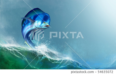 Mahi mahi blue or dolphin fish on background. 54635072