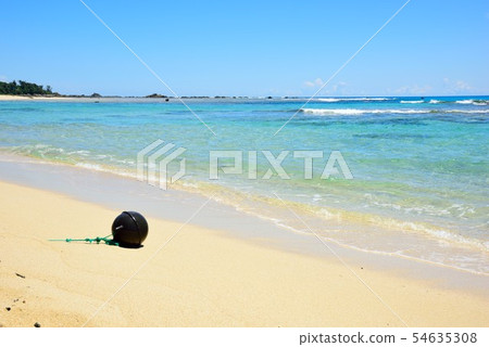 <Amami Oshima> A stray article 2 launched on the coast <Amami Oshima> A stray article 2 launched on the coast 54635308