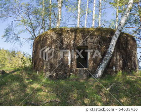 Abandoned World War Two concrete bunker Ropik in birch tree forest in lusitian mountains near Czech Abandoned World War Two concrete bunker Ropik in birch tree forest in lusitian mountains near Czech 54635410