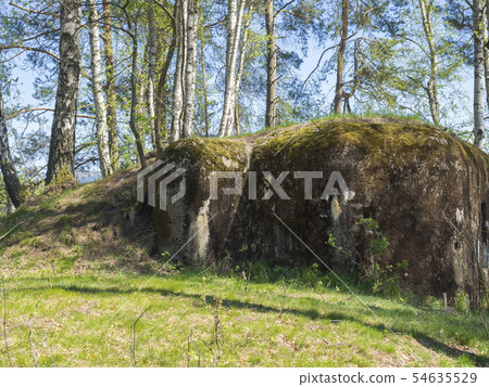 Abandoned World War Two concrete bunker Ropik in birch tree forest in lusitian mountains near Czech Abandoned World War Two concrete bunker Ropik in birch tree forest in lusitian mountains near Czech 54635529