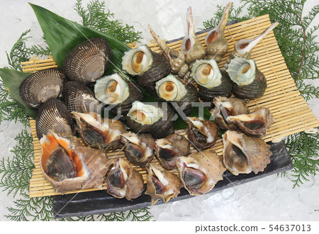 Shellfish in the Seto 54637013