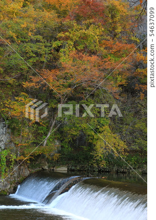 秋葉岩手縣一關市 54637099