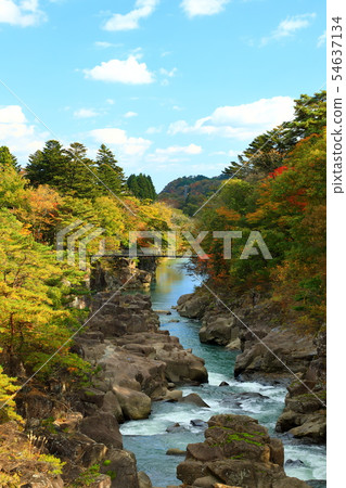 Autumn leaves Iwate Prefecture Ichinoseki City Autumn leaves Iwate Prefecture Ichinoseki City 54637134