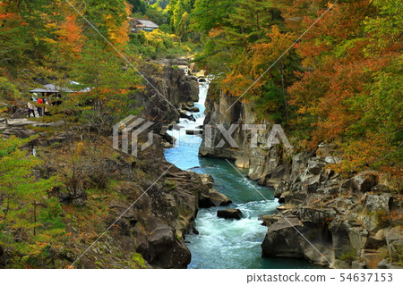 Autumn leaves Iwate Prefecture Ichinoseki City 54637153