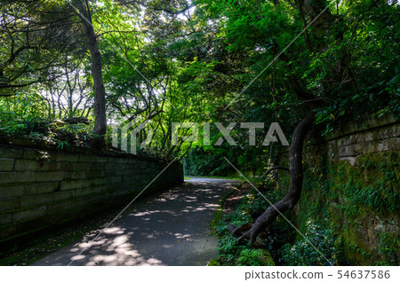 Ishikawa Prefecture Kaga-shi Kitamaefune no Sato Shinmachi-dori to Yoniki-dori Kodo 54637586