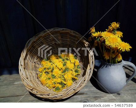 yellow big dandelion flowers in vase, wicker 54637589