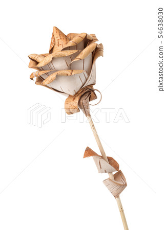 Rose flower made of wood and birch bark Rose flower made of wood and birch bark 54638030