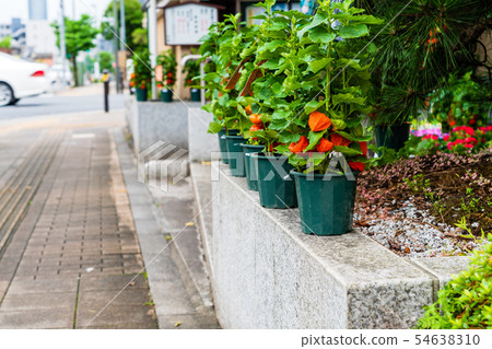 Aoki City Aoki City 54638310