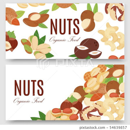 Nuts collection flat cartoon set of banners vector illustration. Peanut, pistachio, cashew, coconut 54639857