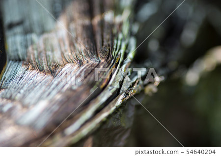Metal carcass of the burnt automobile tire Metal carcass of the burnt automobile tire 54640204