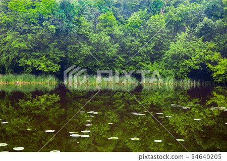 Water landscape in summer 54640205