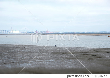 海，潮汐，西海岸 54640244