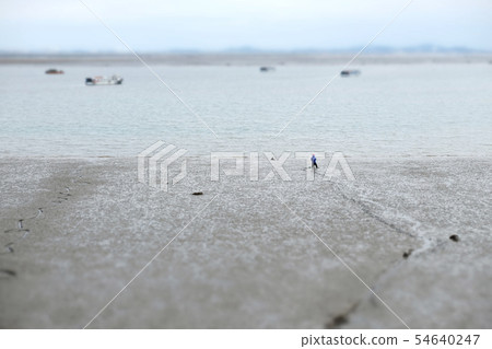 海，潮汐，西海岸 54640247