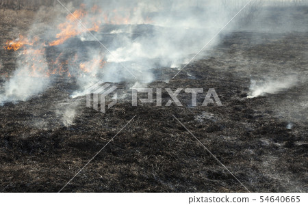 Big fire in the field. Big fire in the field. 54640665