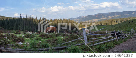 Landscape in the Ukrainian Carpathians Landscape in the Ukrainian Carpathians 54641387