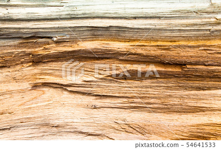 Wooden texture. 54641533