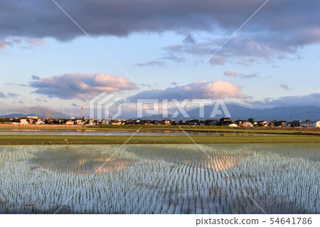 Rural landscape Rural landscape 54641786