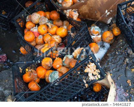 Rotten mandarin oranges on the landfill Rotten mandarin oranges on the landfill 54641827