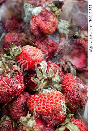 Rotten strawberries on the landfill Rotten strawberries on the landfill 54641831