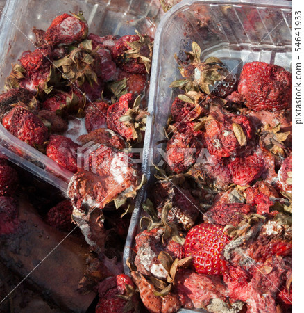 Rotten strawberries on the landfill 54641933