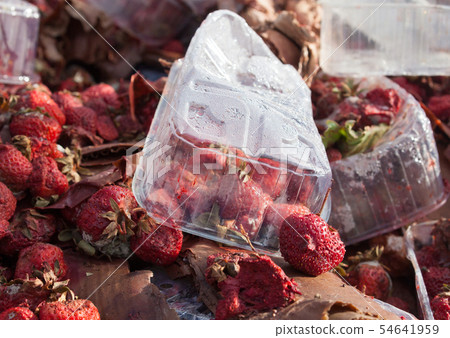 Rotten strawberries on the landfill 54641959