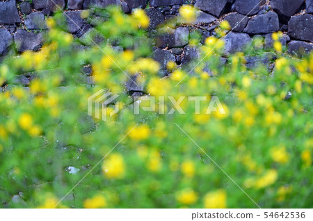 鎮景東京丸之內 鎮景東京丸之內 54642536